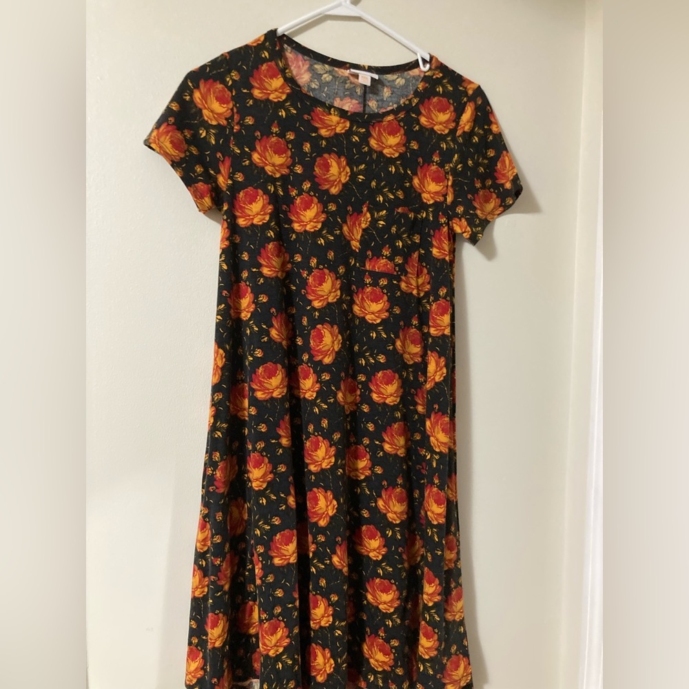Lularoe fall patterned carly style dress size Xxs